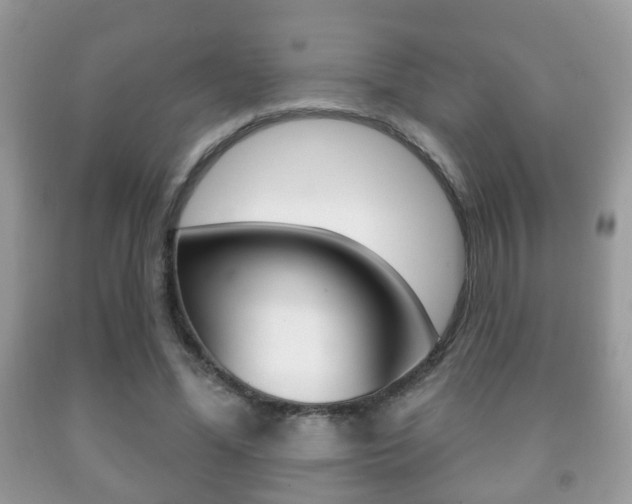X0000091930588200709051243