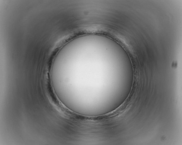 X0000091930590200709051243