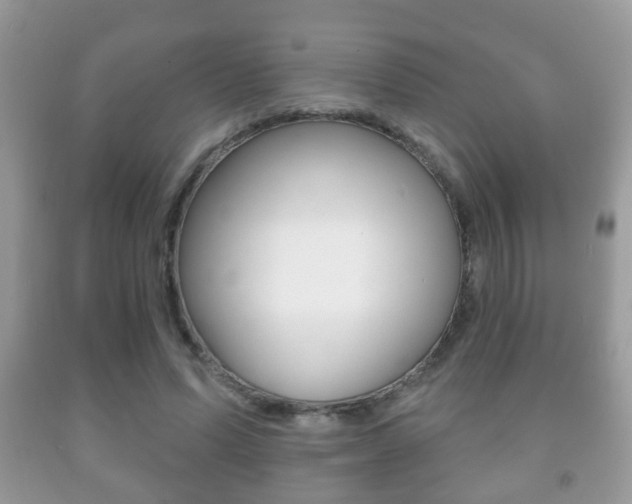 X0000091930591200709051243