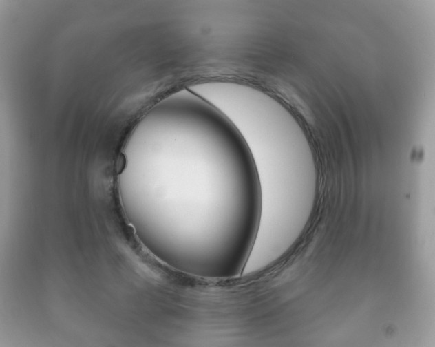 X0000091930593200709051243