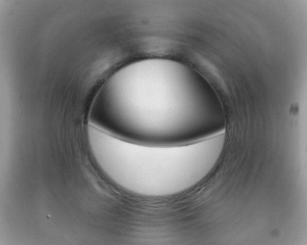 X0000091930596200709051243