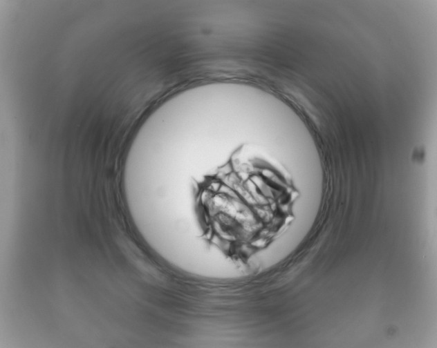 X0000091930597200709051243
