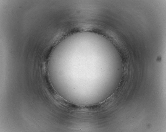 X0000091930598200709051243