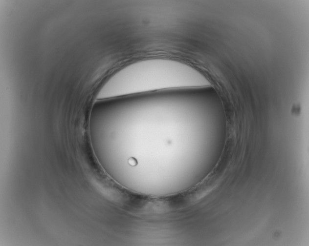 X0000091930599200709051242