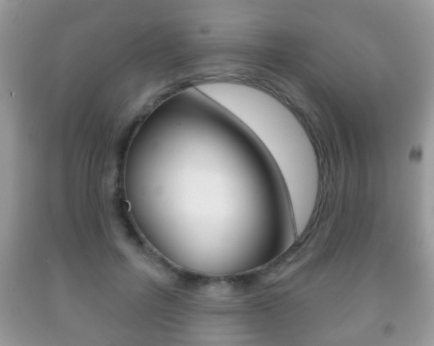 X0000091930600200709051242