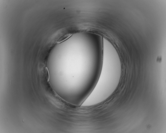 X0000091930601200709051242