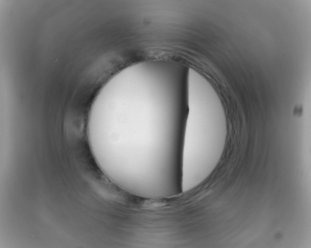 X0000091930602200709051242