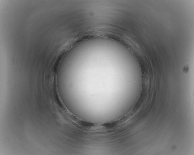 X0000091930603200709051242