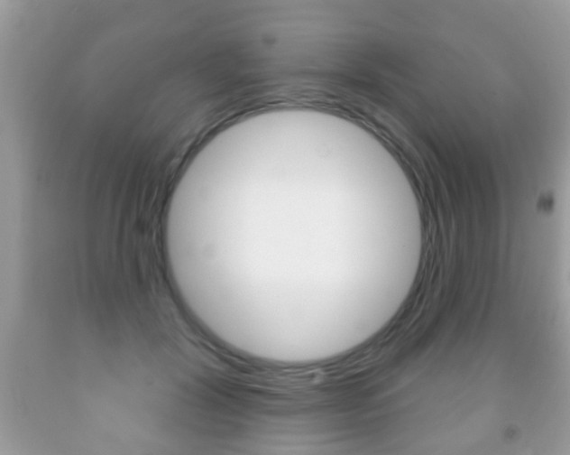 X0000091930604200709051242