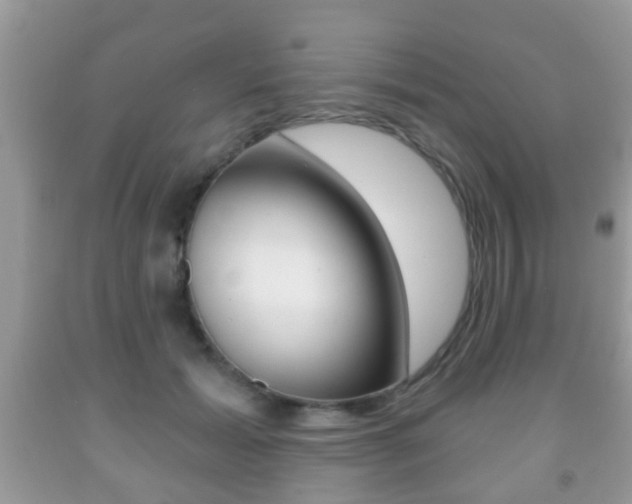 X0000091930605200709051242