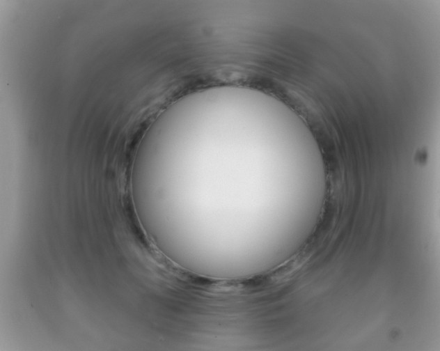 X0000091930606200709051242