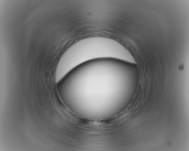 X0000091930607200709051242