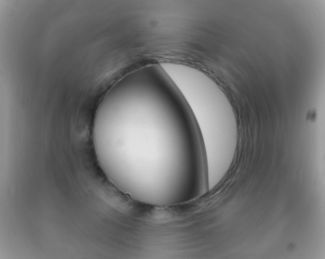 X0000091930608200709051242