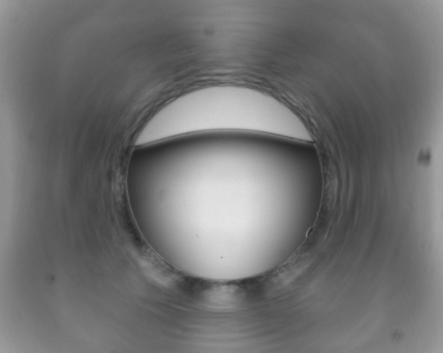 X0000091930609200709051242