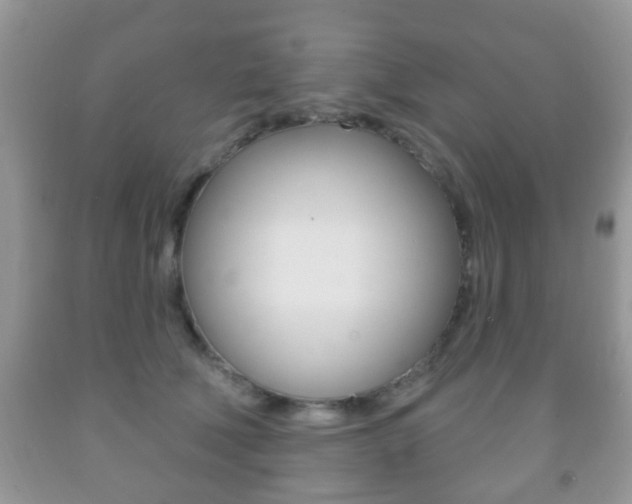 X0000091930610200709051242
