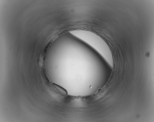 X0000091930611200709051242