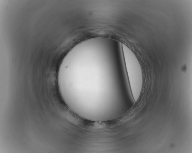 X0000091930612200709051242