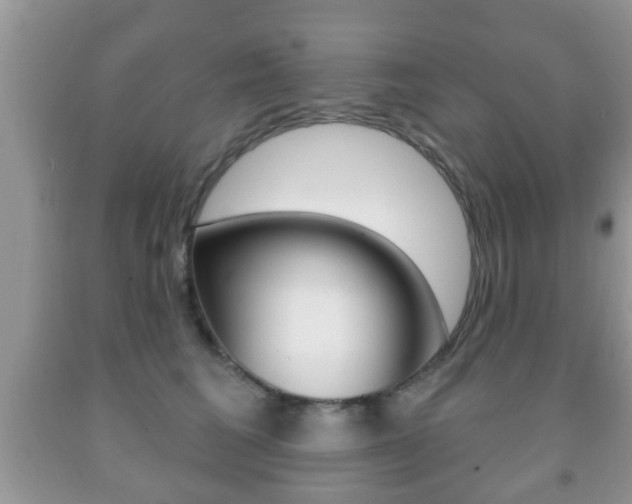 X0000091930613200709051242