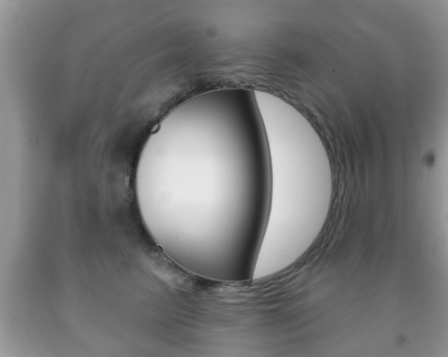 X0000091930615200709051242