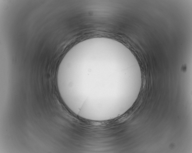X0000091930616200709051242