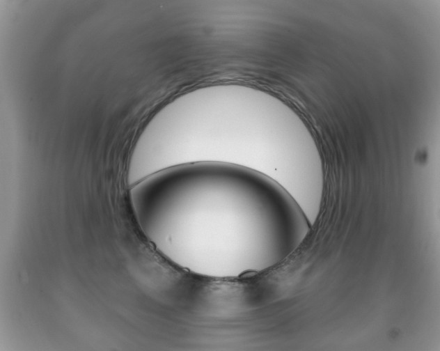 X0000091930617200709051242