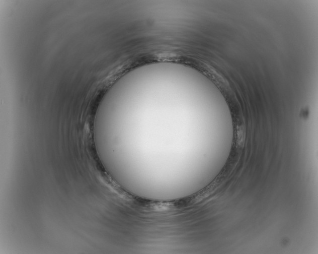X0000091930618200709051242