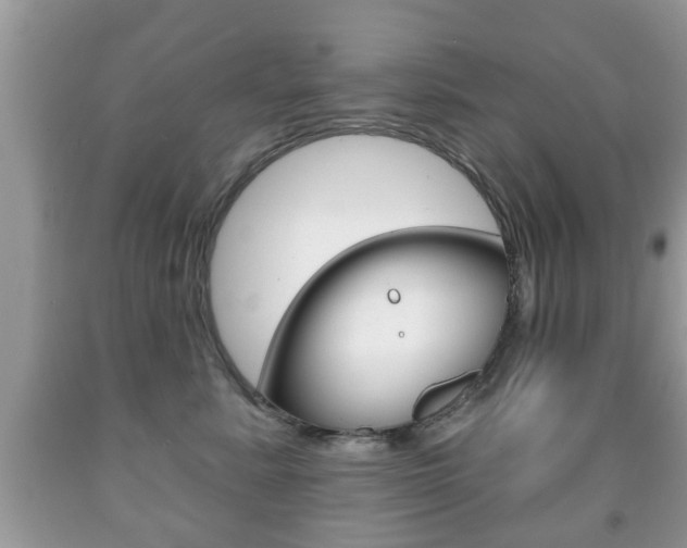 X0000091930619200709051242