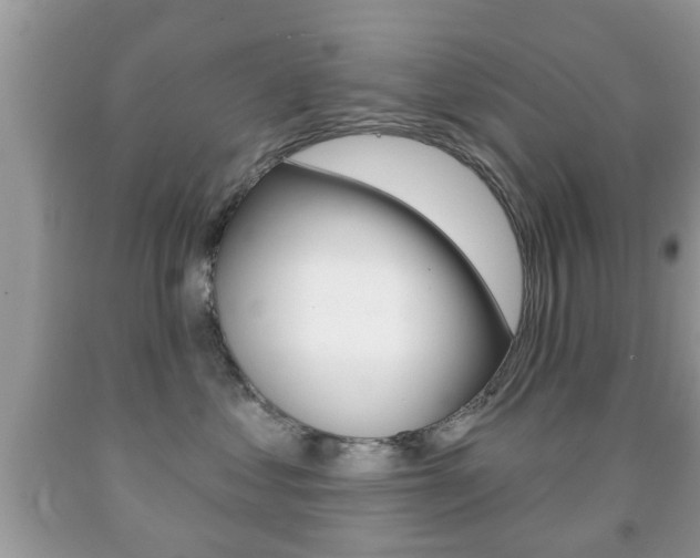 X0000091930621200709051242