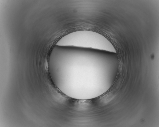 X0000091930622200709051242