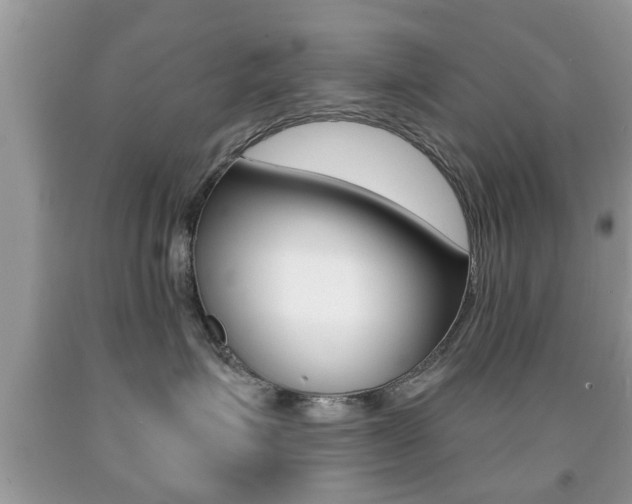 X0000091930623200709051242