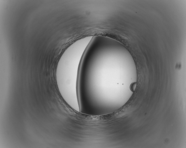 X0000091930624200709051242
