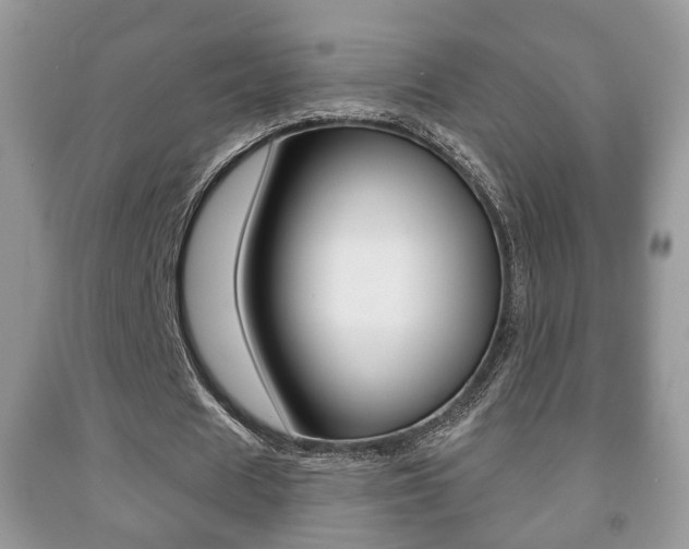 X0000091930625200709051241
