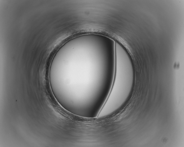 X0000091930627200709051241