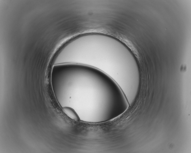 X0000091930628200709051241
