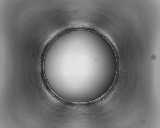 X0000091930629200709051241