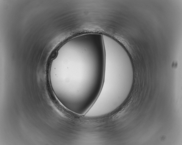X0000091930630200709051241