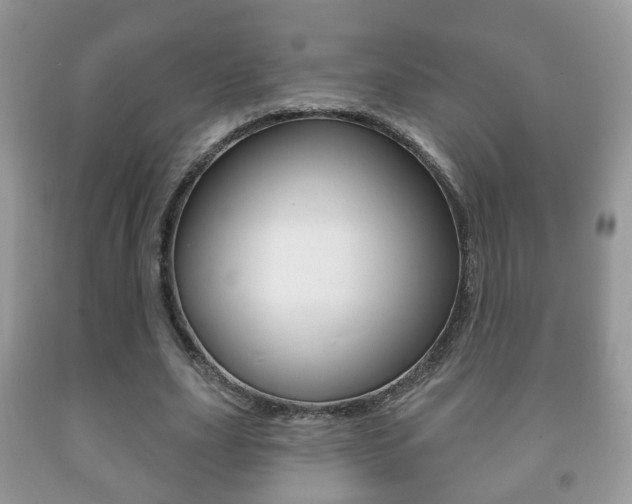 X0000091930631200709051241