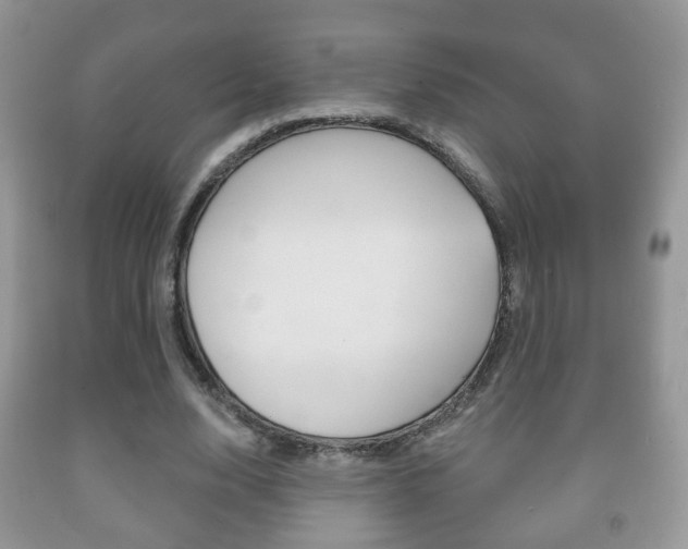 X0000091930632200709051241