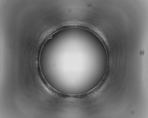 X0000091930633200709051242