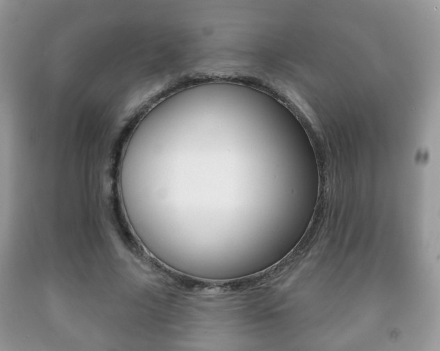 X0000091930635200709051242
