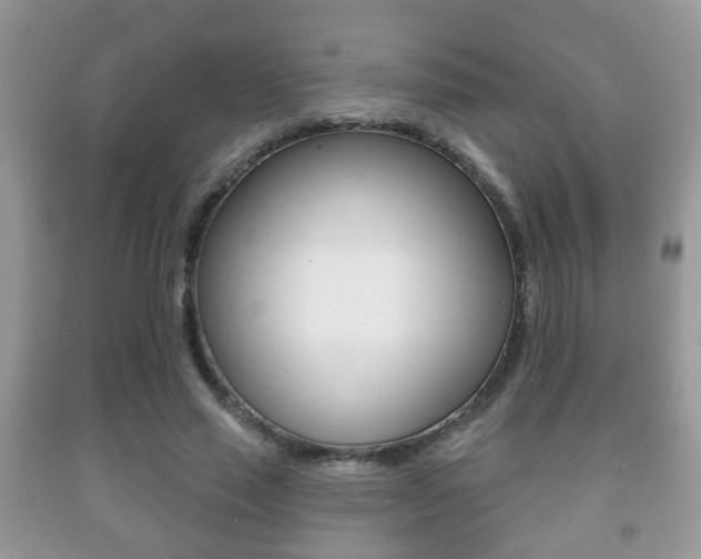 X0000091930637200709051242