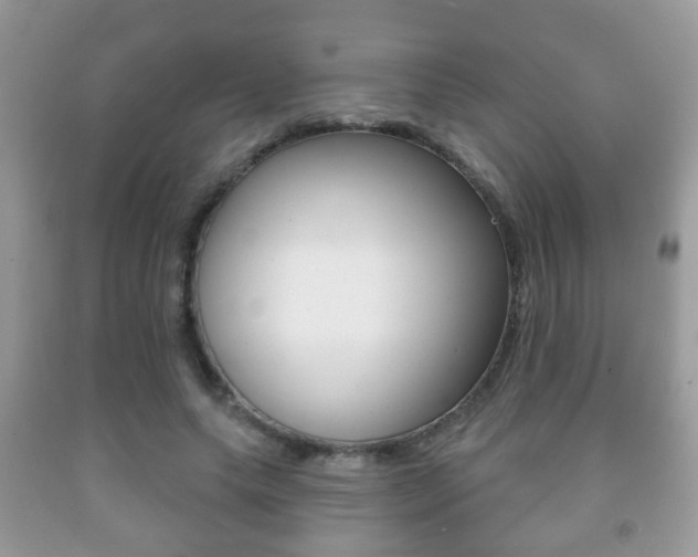 X0000091930639200709051242