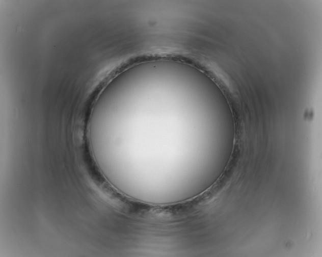 X0000091930640200709051242