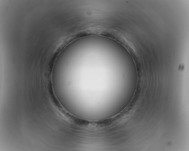 X0000091930641200709051242