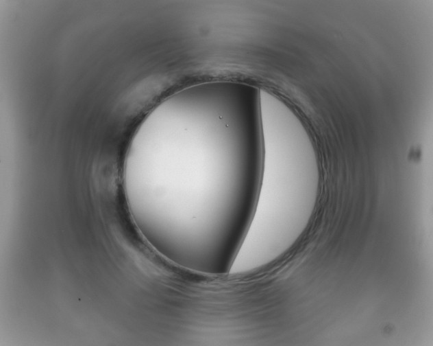 X0000091930644200709051242
