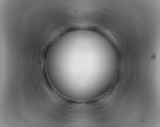 X0000091930645200709051242