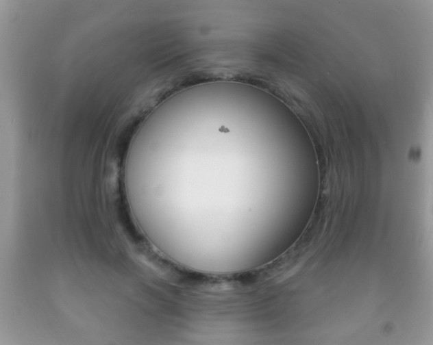 X0000091930646200709051242