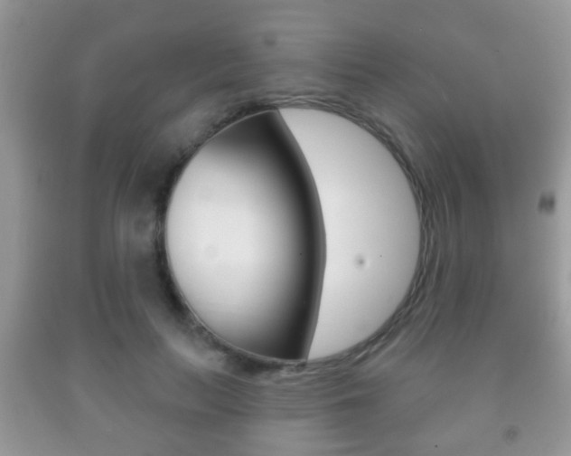 X0000091930647200709051242