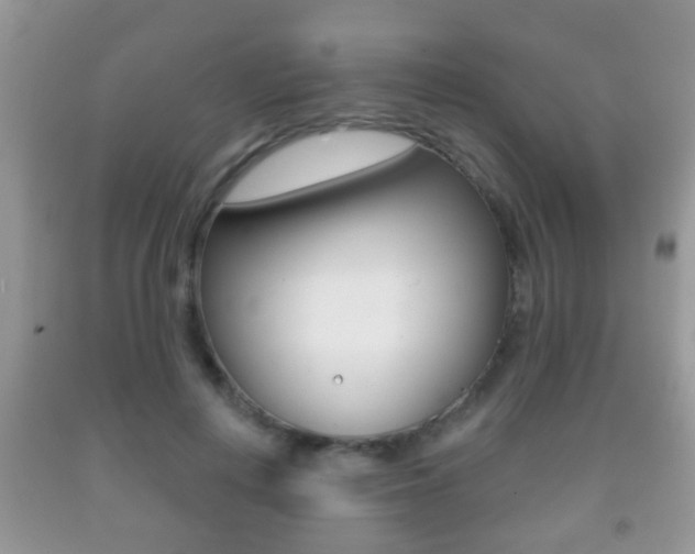 X0000091930648200709051242