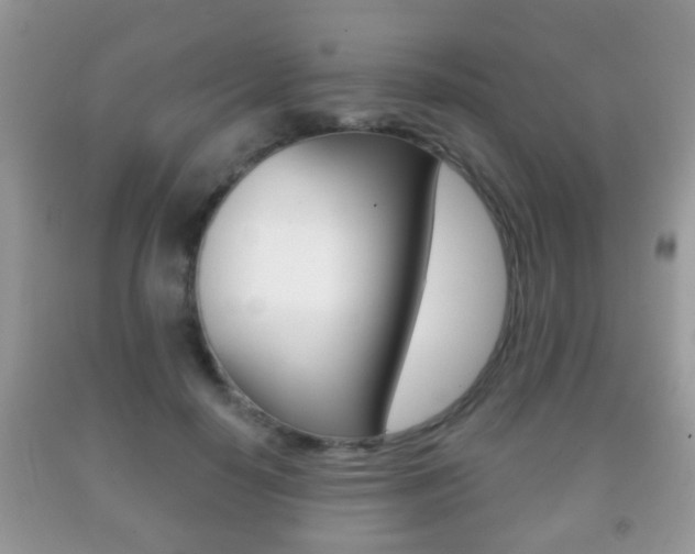 X0000091930650200709051242